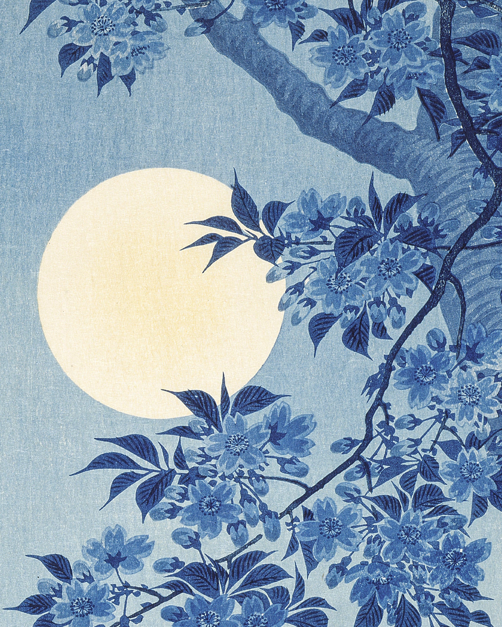 Cerisier en fleurs par une nuit au clair de lune, Ohara Koson - Affiche