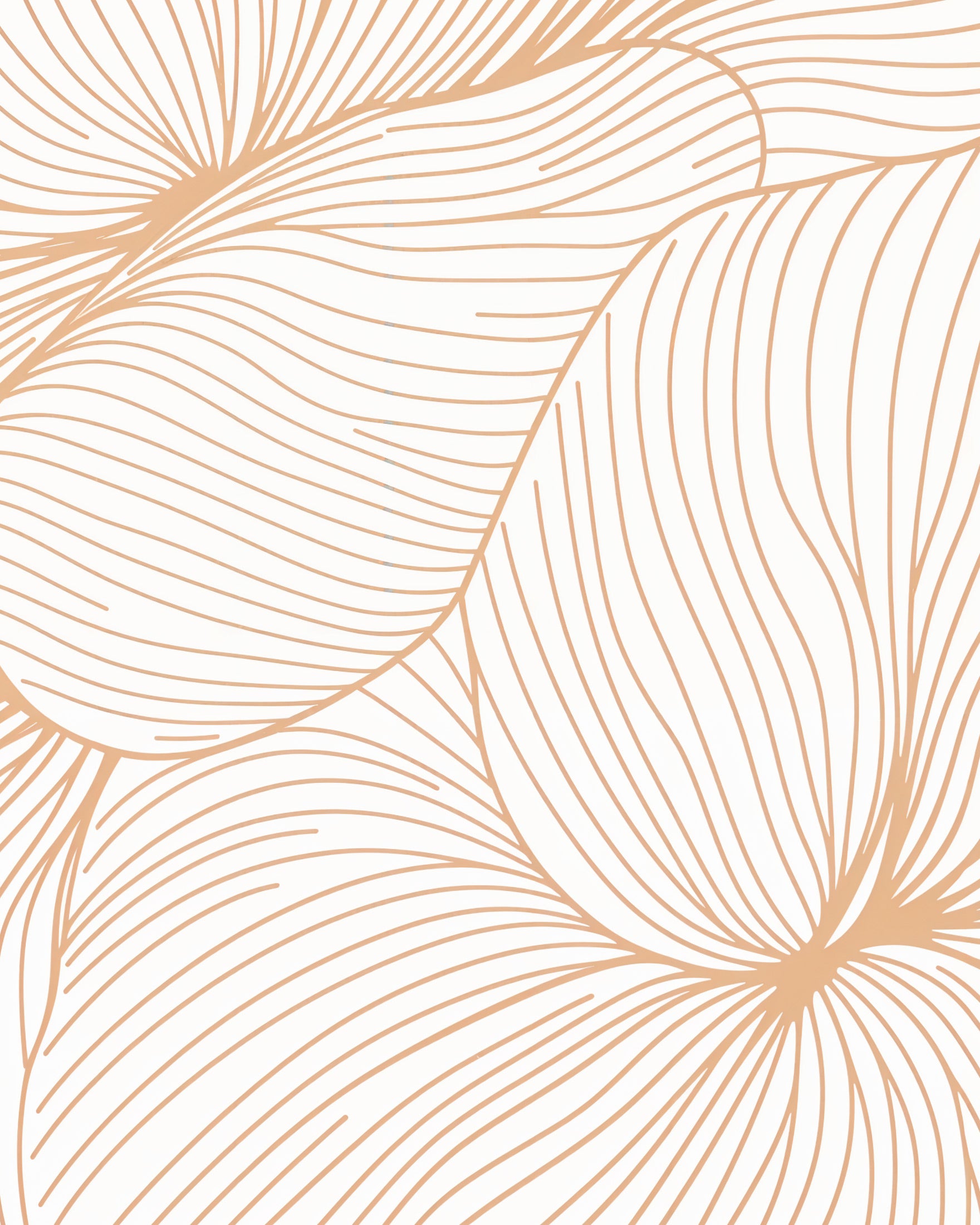 Affiche épurée, motif floral - Art abstrait - Affiche