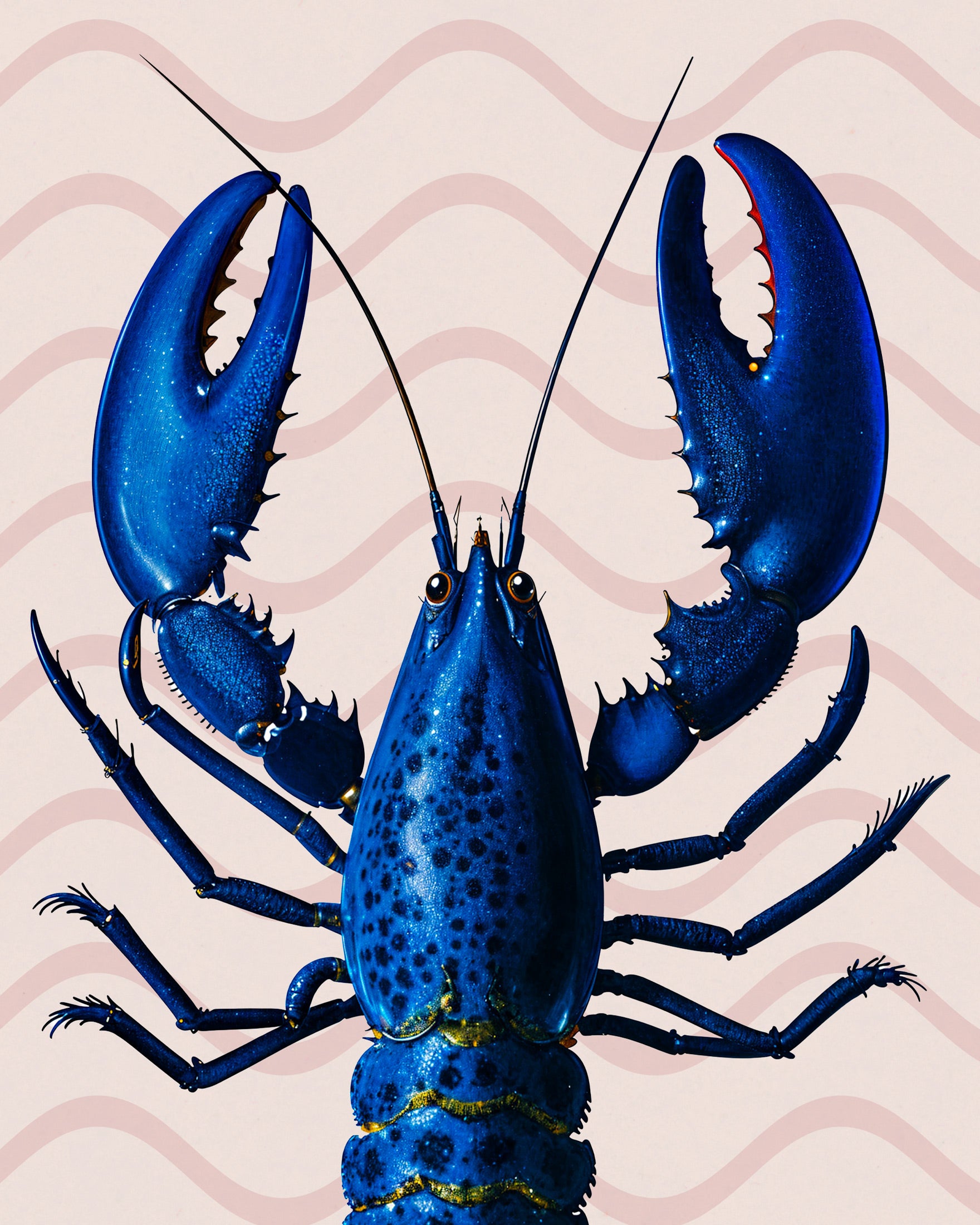 Blauwe Kreeft Poster