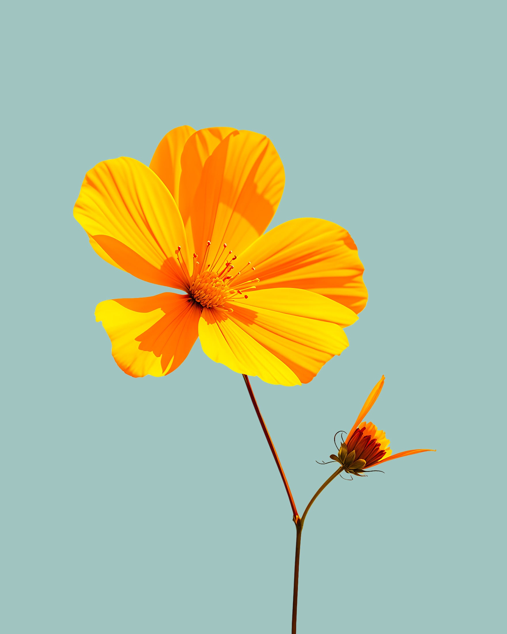 Gele bloem op de kleuren van Le Corbusier - Kies de achtergrondkleur! - Poster