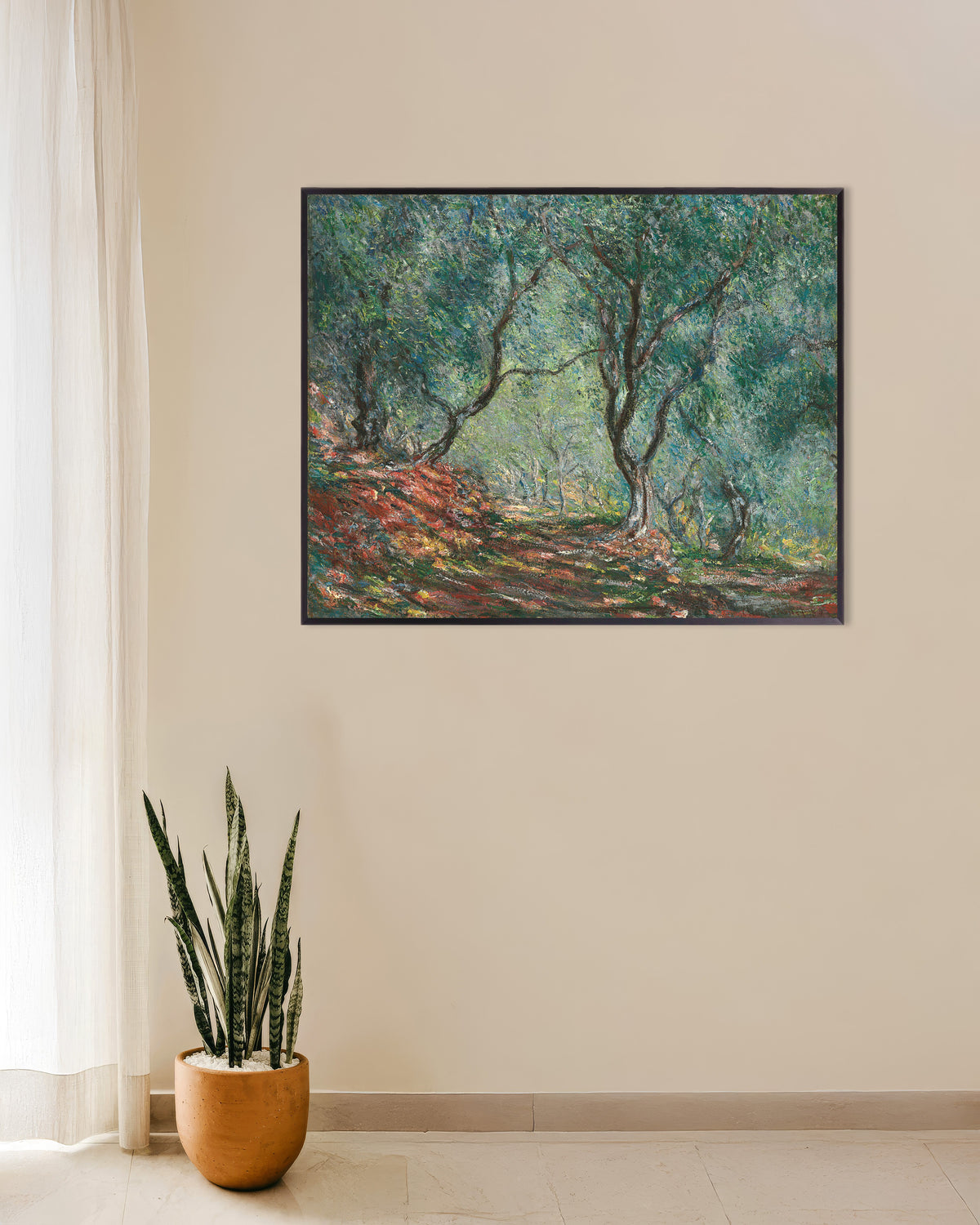 Poster Olijfbomen in de tuin van Moreno (1884) van Claude Monet met metalen lijst
