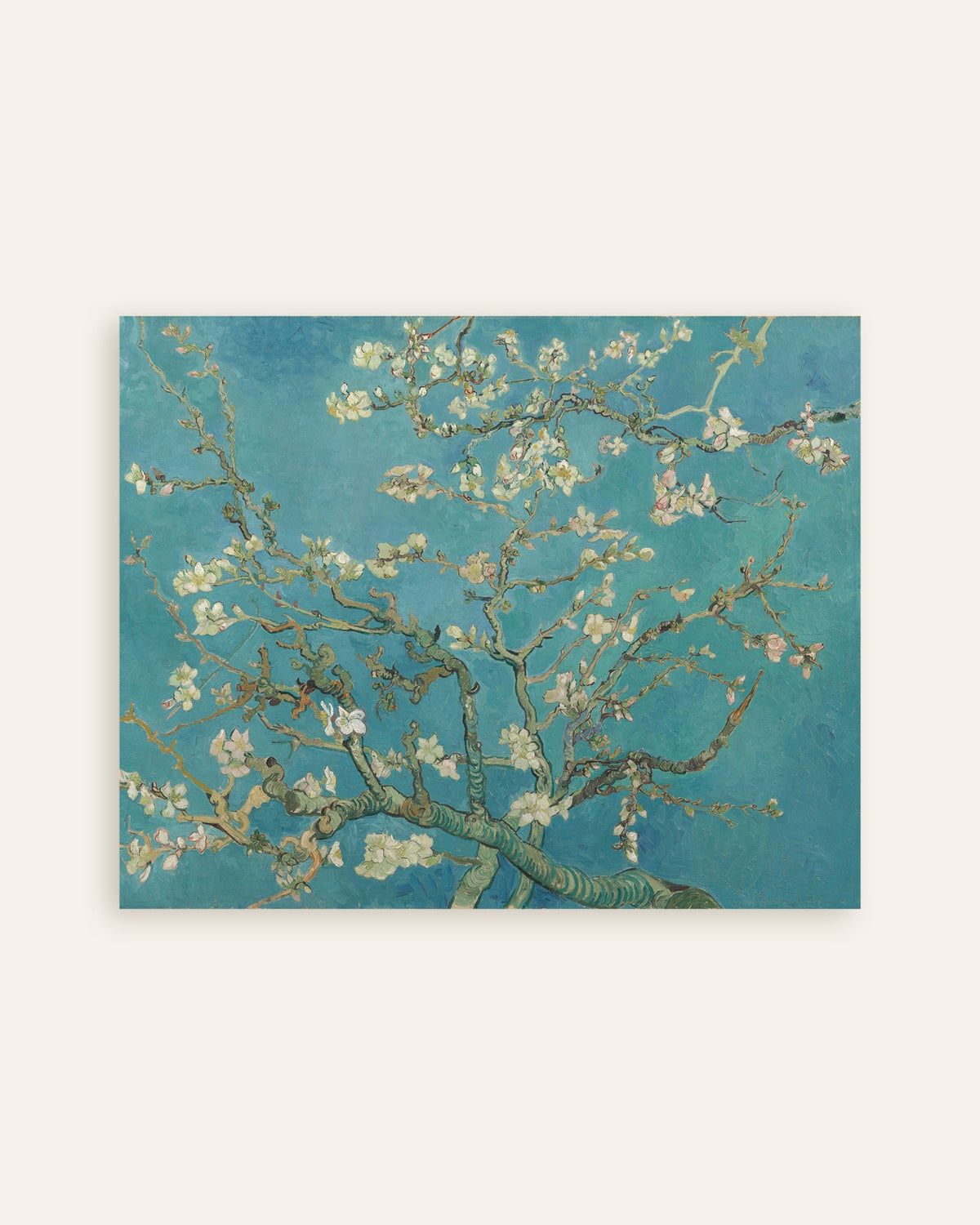 Poster van Amandelbloesem (1890) van Vincent van Gogh, miniatuur