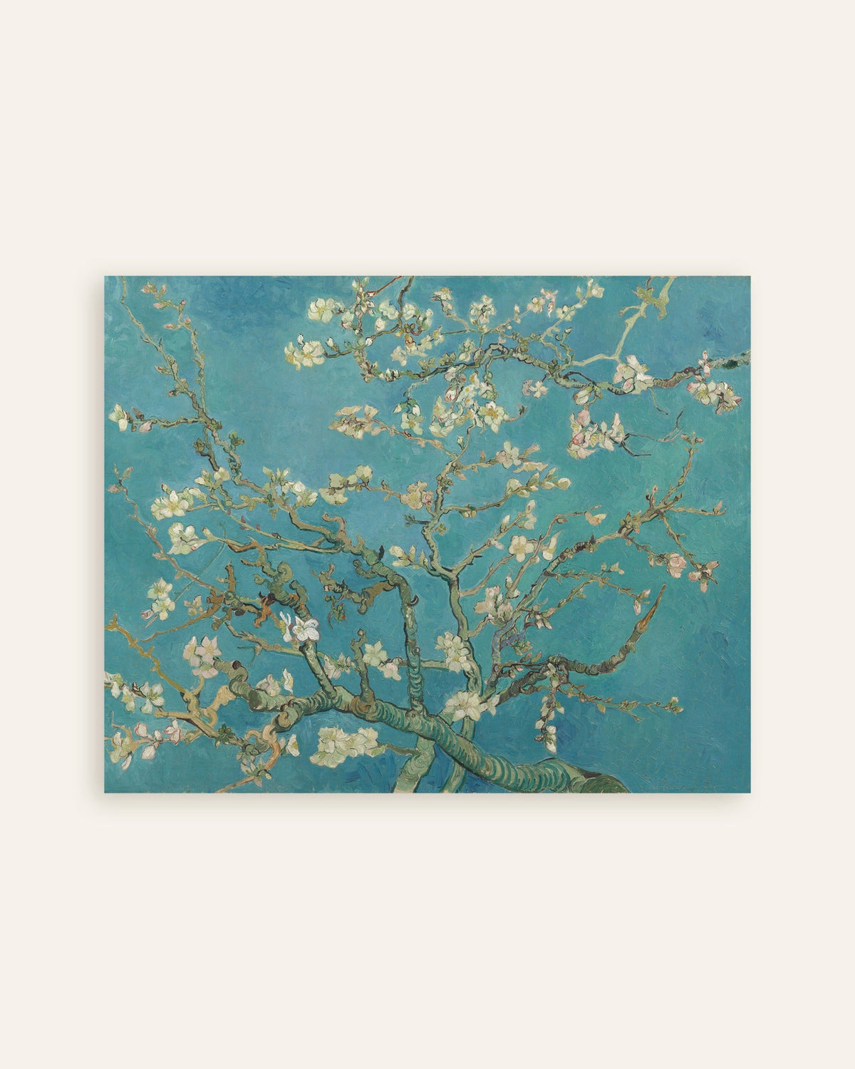 Poster de Fleurs d’amandier (1890) de Vincent van Gogh, vignette