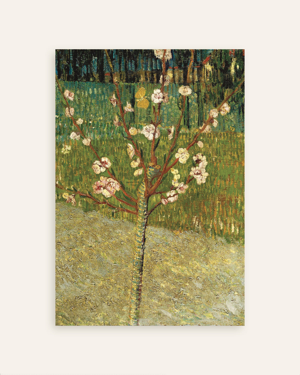 Poster de Amandier en fleurs (1888) de Vincent van Gogh, en miniature