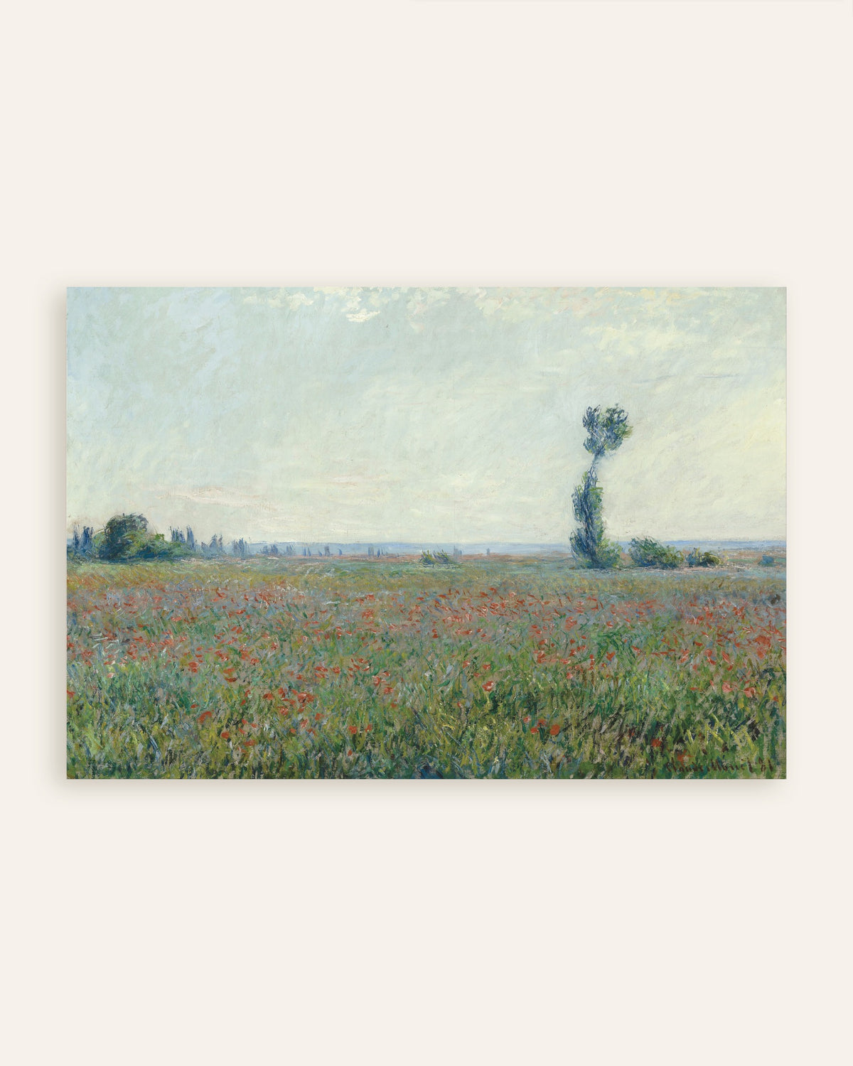 Poster Klaprozenveld van Claude Monet, miniatuur