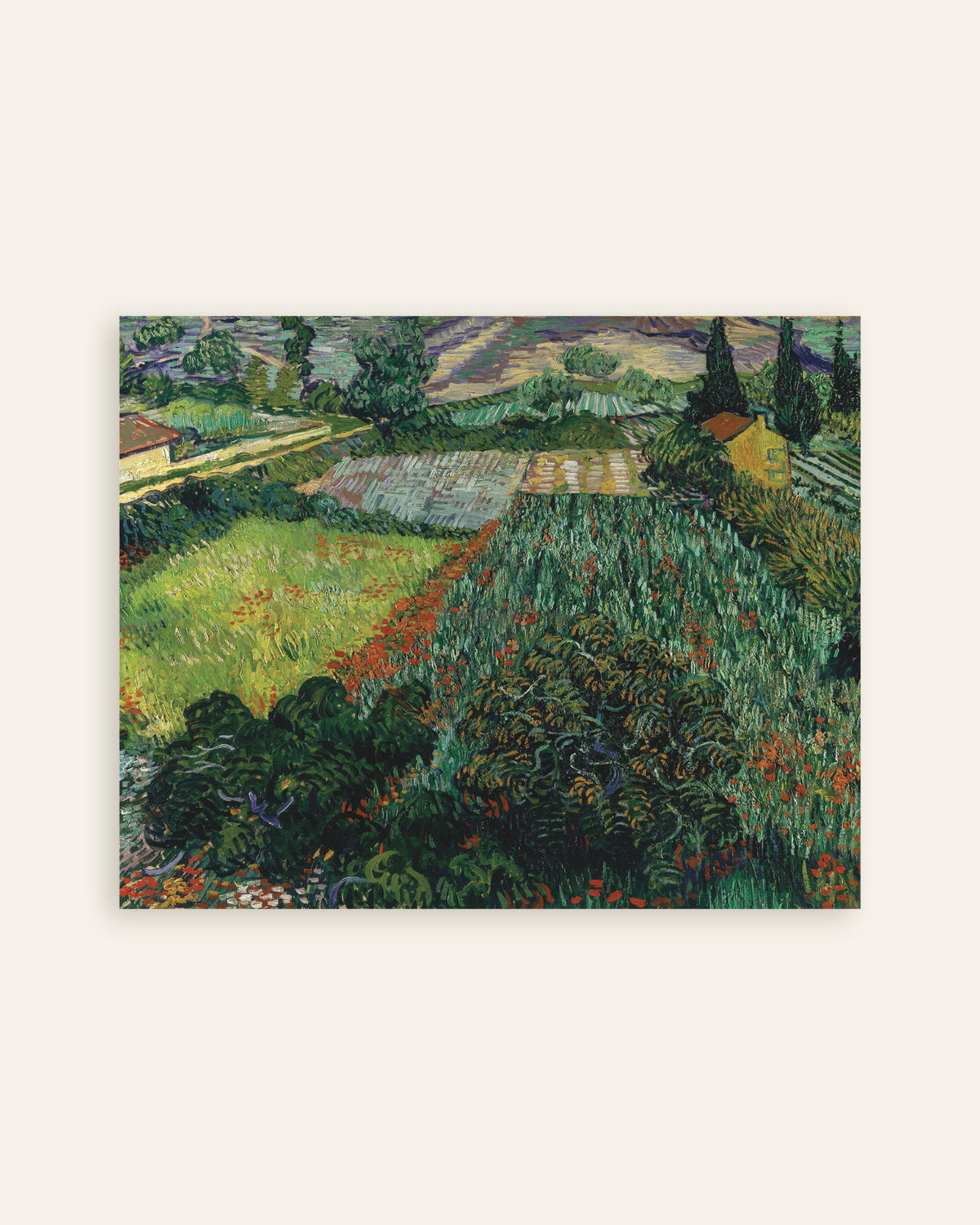 Poster de Champ de coquelicots (1889) de Vincent van Gogh, en vignette