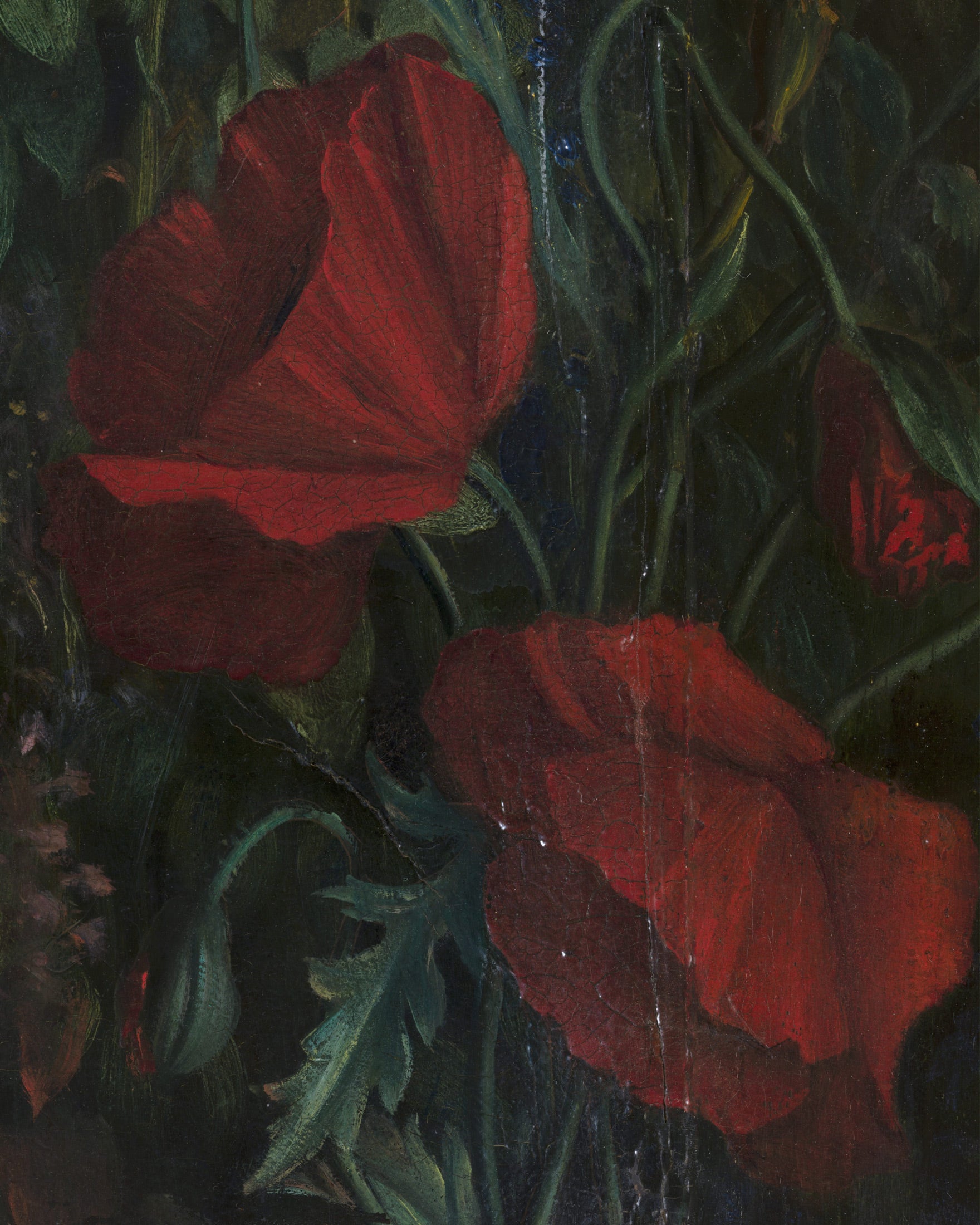 Louis Janmot "Fleur des Champs" Hand Detail - Rode Tulpen Poster