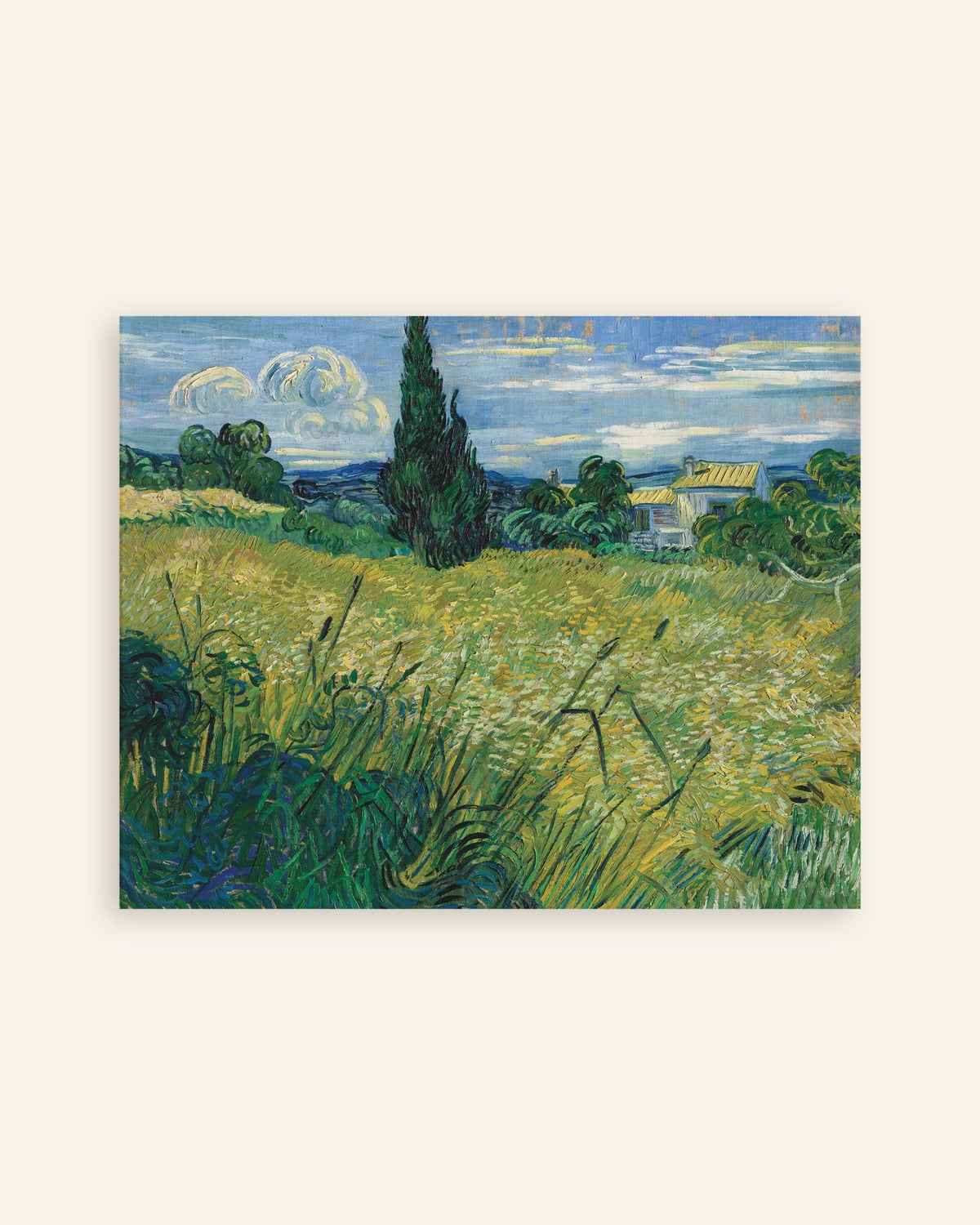 Poster van Groen korenveld met cipres (1889) van Vincent van Gogh, miniatuur