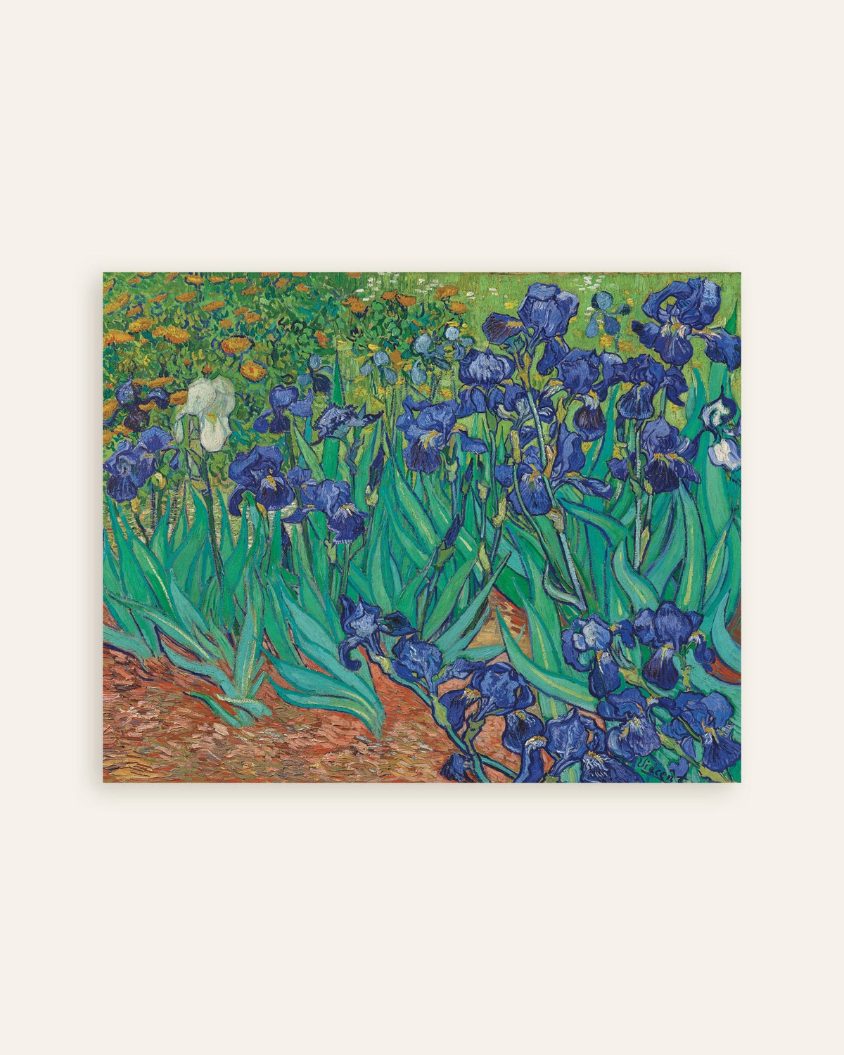 Poster Iris (1889) de Vincent van Gogh, en miniature
