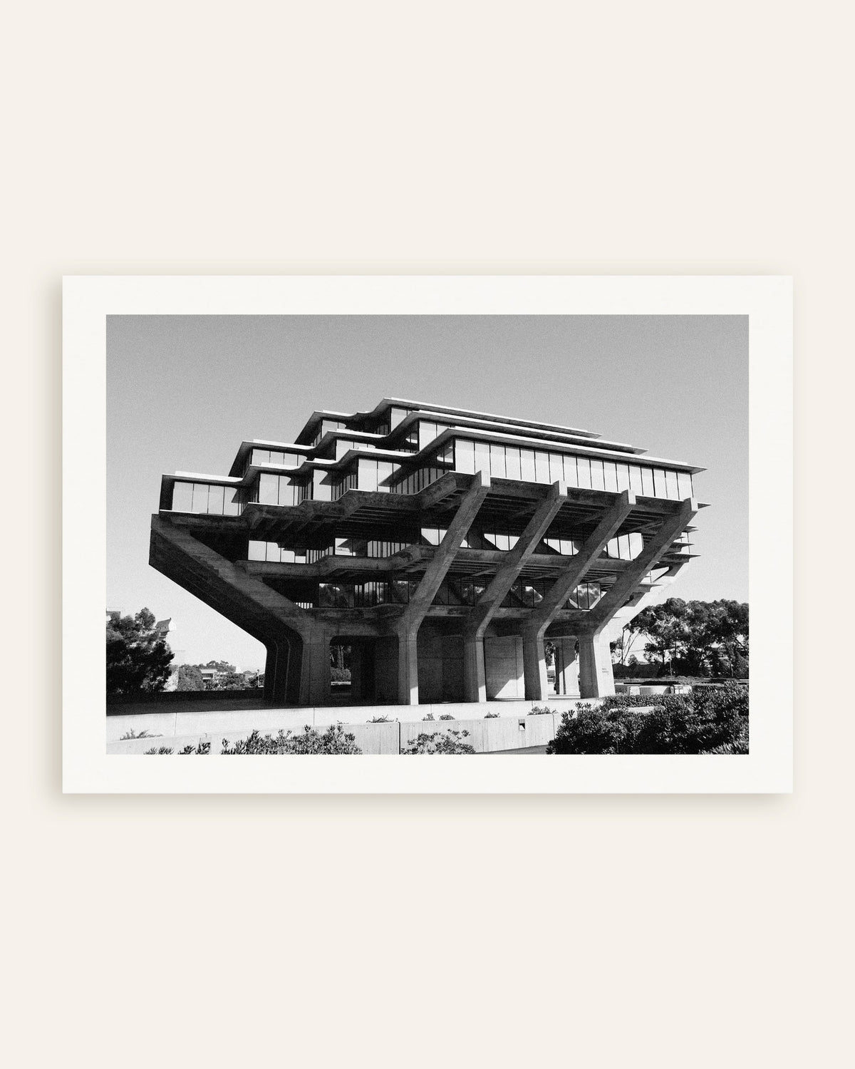 Poster ‘Bibliotheek op betonnen pilaren’, miniatuur