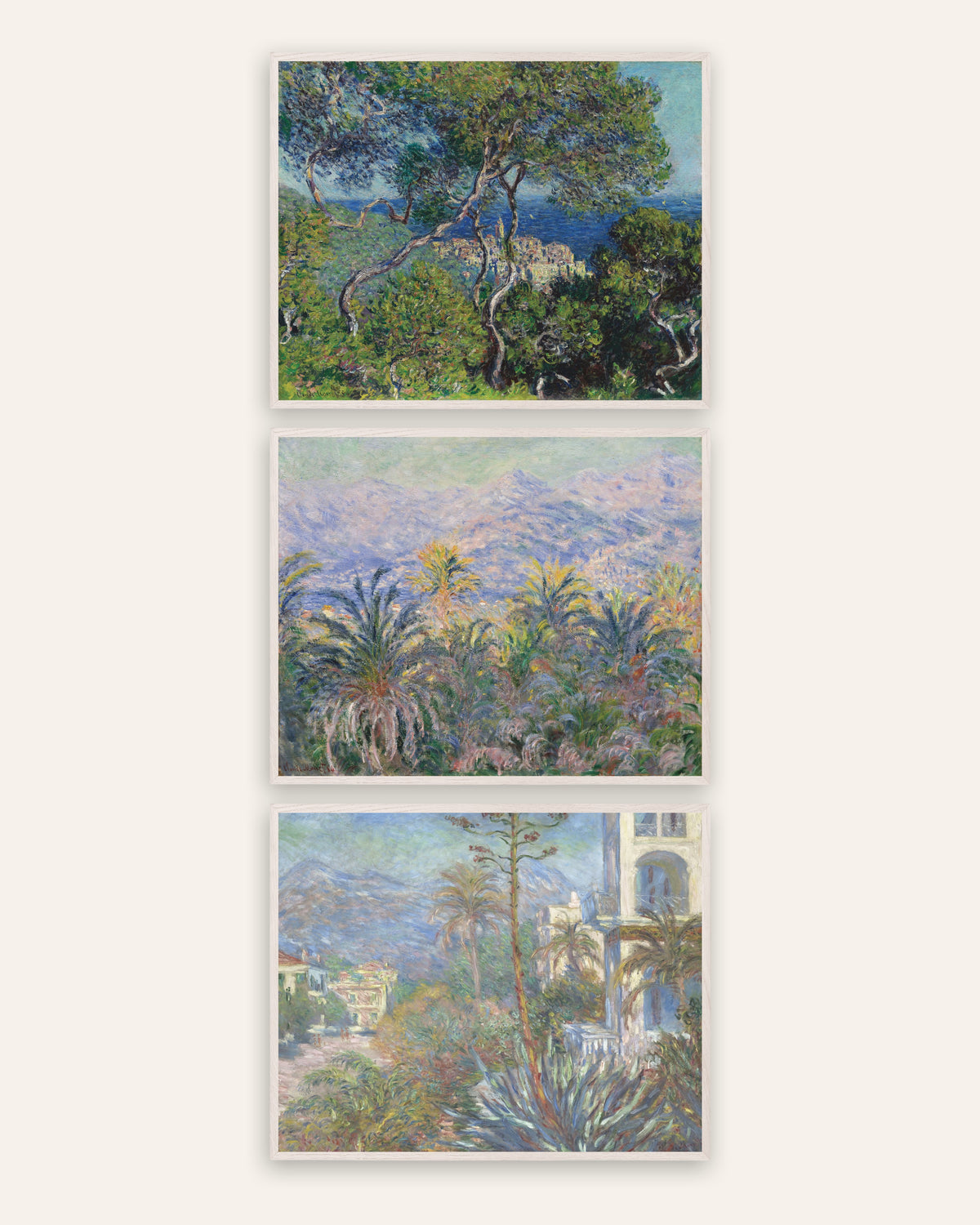 Affiches Monet Bordighera, lot de 3 : pins, palmiers et villas de la Riviera, cadres en chêne blanc