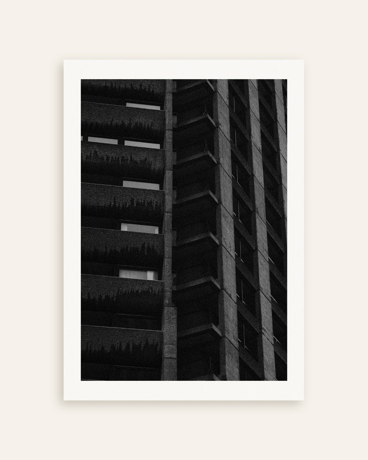 Poster ‘Nachtelijke gevel met hangplanten’, miniatuur