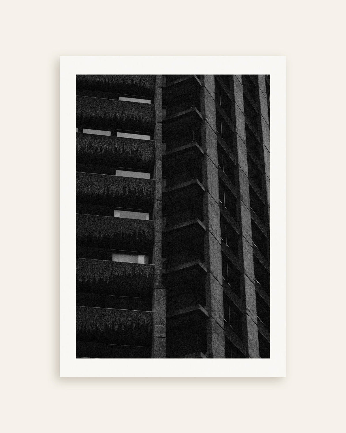 Poster ‘Nachtelijke gevel met hangplanten’, miniatuur
