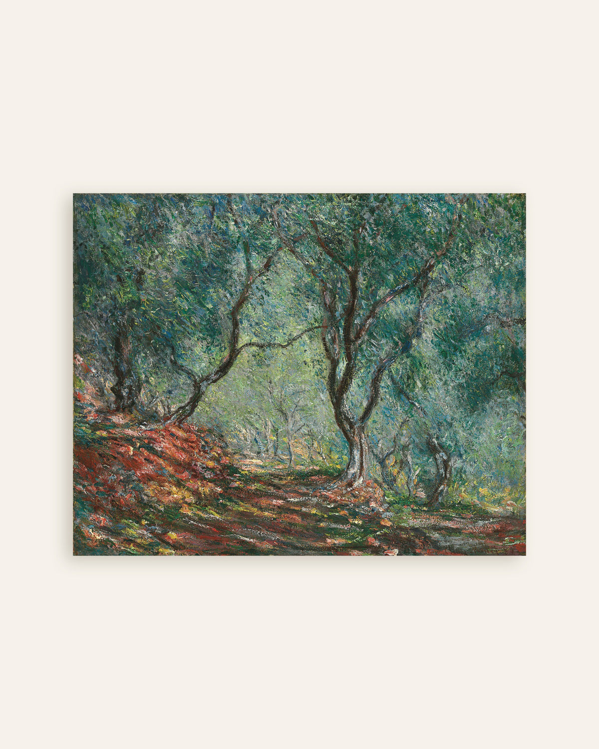 Poster Olijfbomen in de tuin van Moreno (1884) van Claude Monet, miniatuur