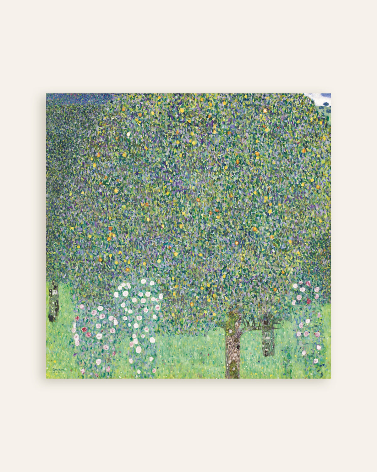 Poster Rozenstruiken onder de bomen (1905) van Gustav Klimt, miniatuur