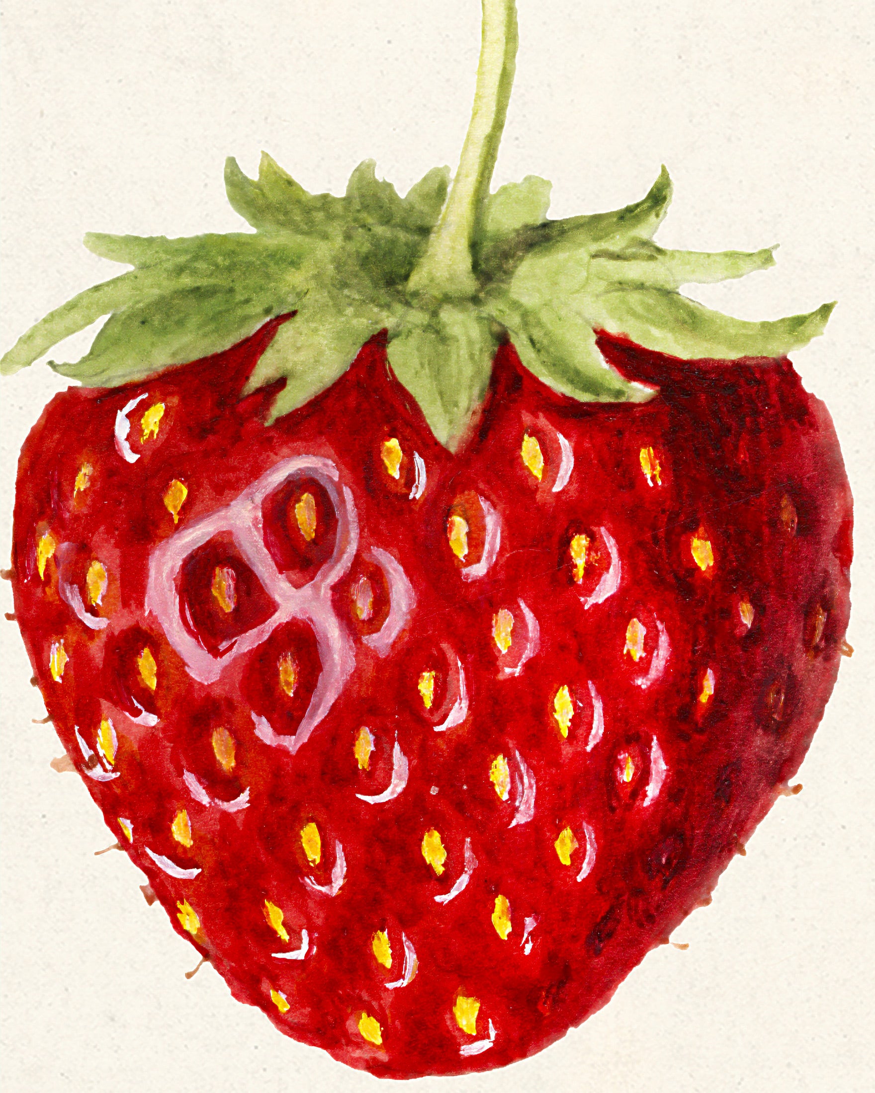 Affiche Botanique Vintage Fraise - Art Mural