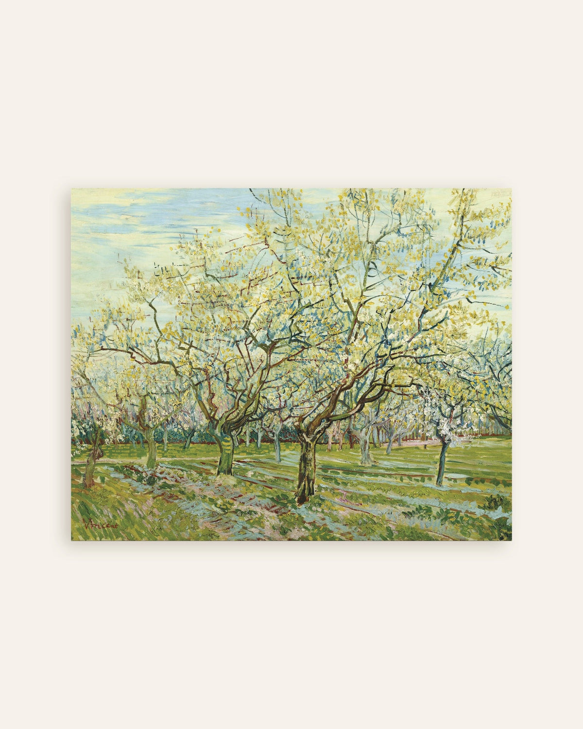 Poster van De witte boomgaard (1888) van Vincent van Gogh, miniatuur