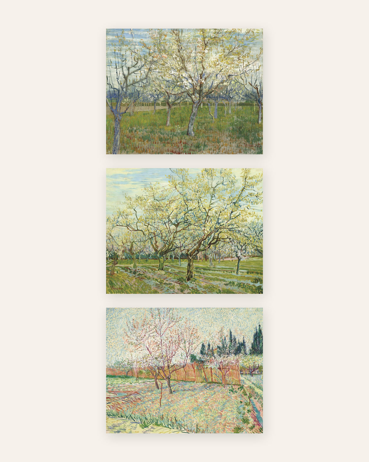 Van Gogh posters bloeiende boomgaarden, set van 3: roze, wit en met cipressen, zonder lijst