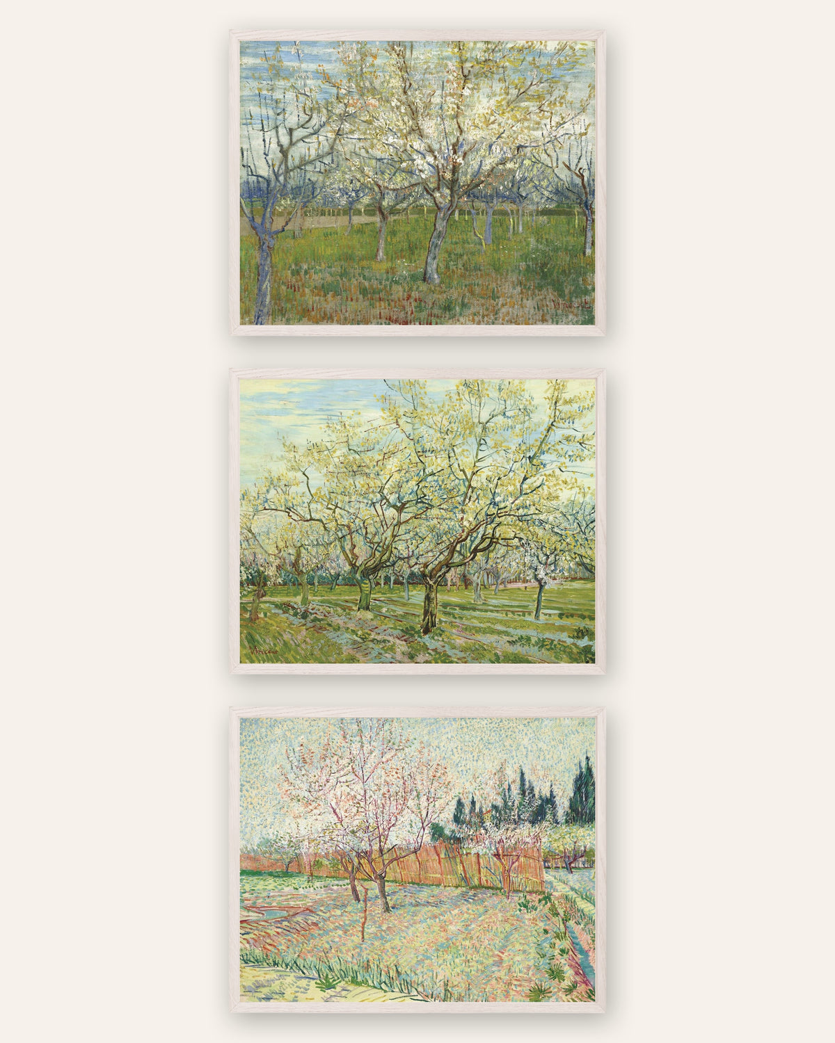 Van Gogh posters bloeiende boomgaarden, set van 3: roze, wit en met cipressen, in witte eikenhouten lijsten