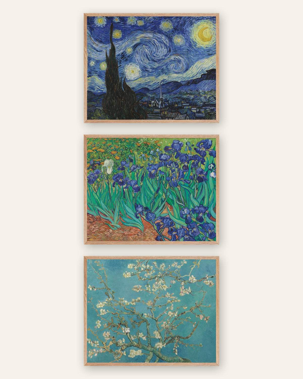 Affiches Van Gogh, lot de 3 : La Nuit étoilée, Iris et Branches d’amandier en fleurs, cadres en chêne naturel